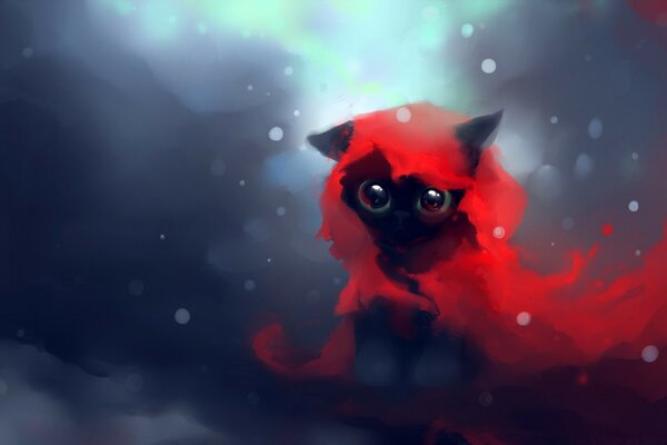 A kitten in a red raincoat under water