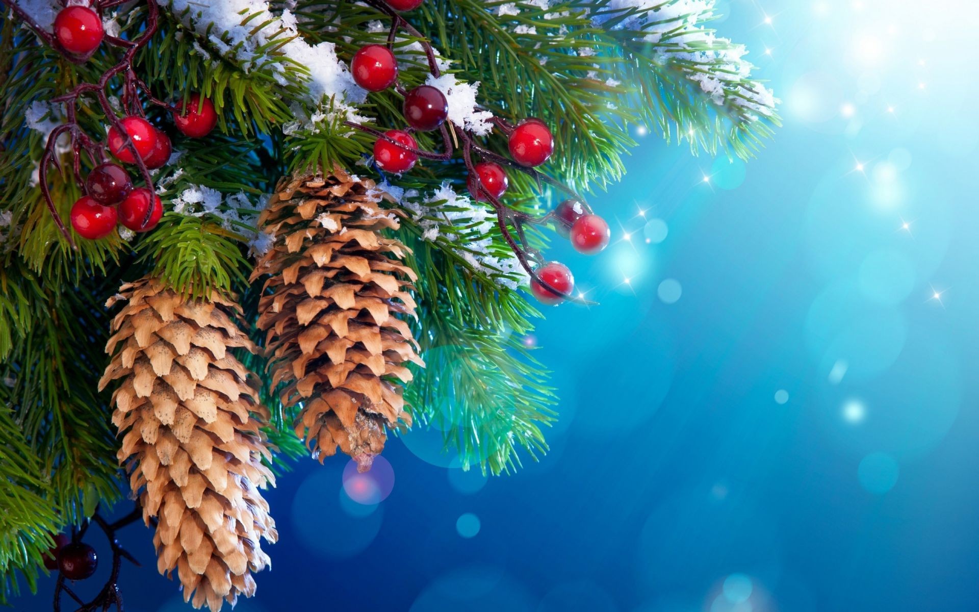 nuovo anno di natale di inverno di pino decorazione abete vacanza albero di palla abete stagione cono evergreen brilla merry ramo di conifere vacanza