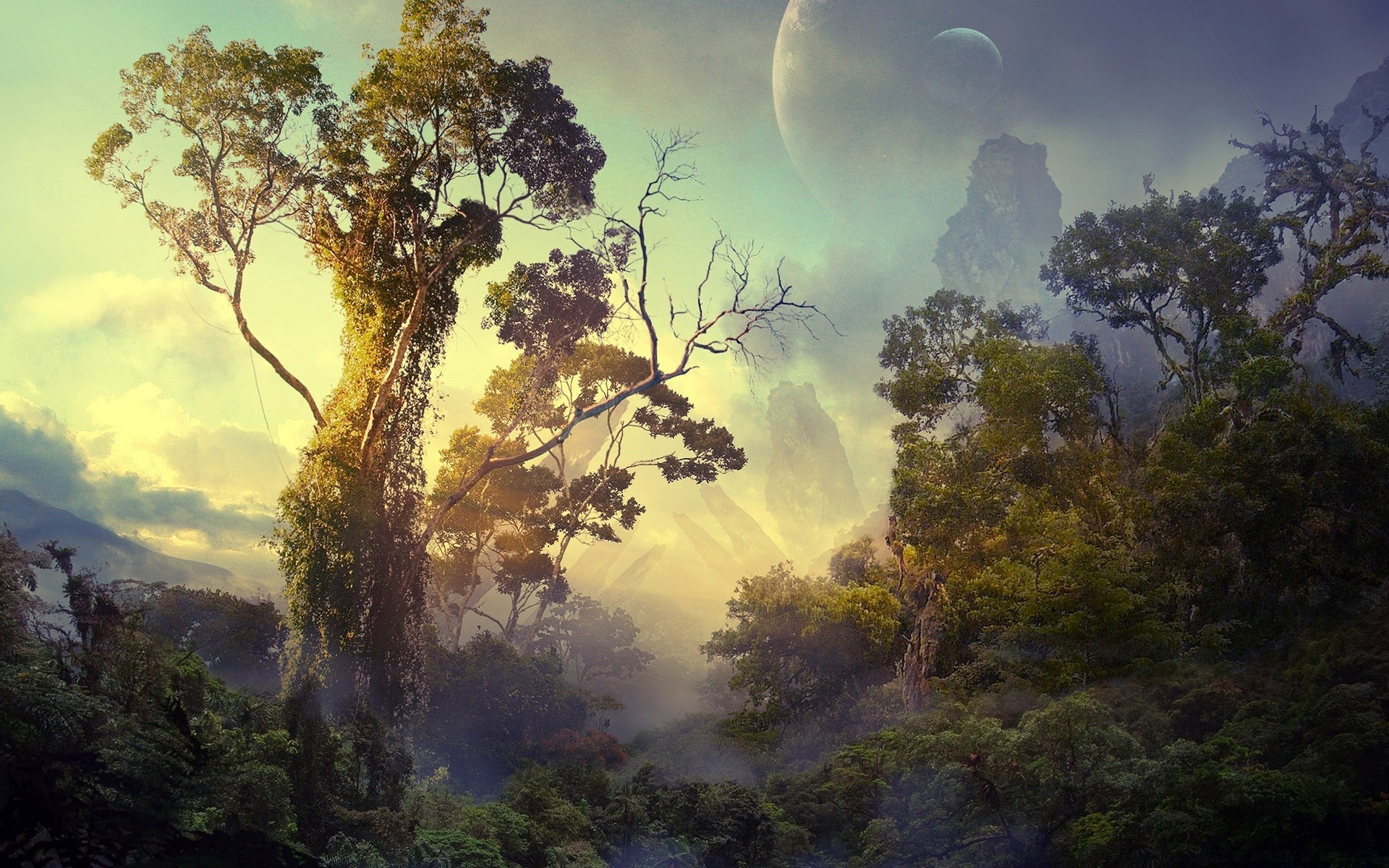 fantasy tree landscape nature fog dawn sky wood mist sunset outdoors sun leaf evening backlit mountain scenic light travel fair weather