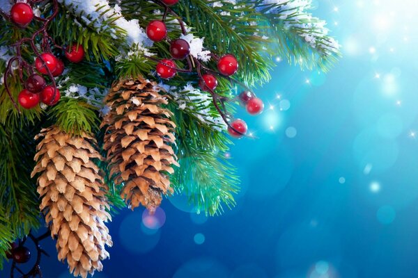 The Christmas tree is decorated with ripe cones