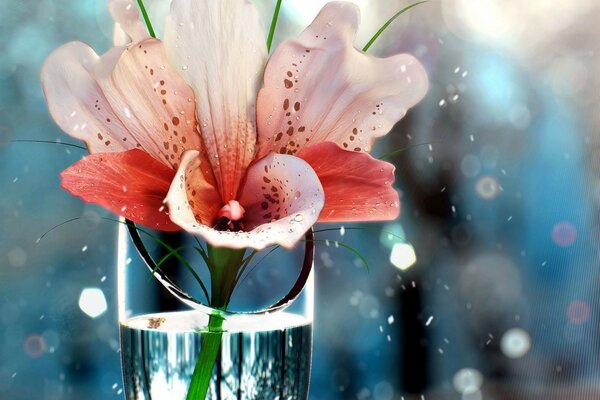 A flower in a vase on an abstract background in cold colors