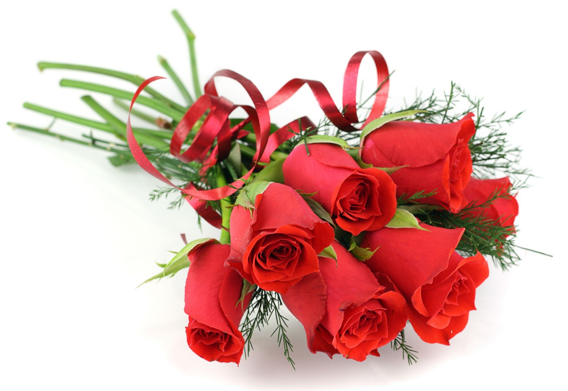 Bouquet of flowers white background ribbon red Roses ...