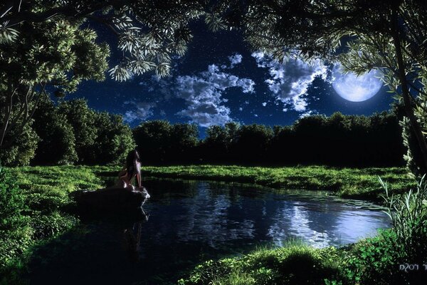 Hermosa noche de Luna de verano