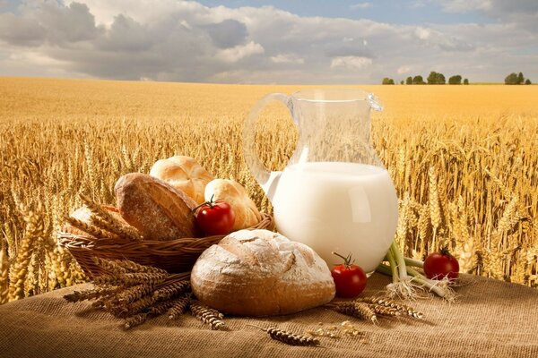 Karaffe mit Milch und hausgemachtem Brot auf einem Weizenfeldhintergrund