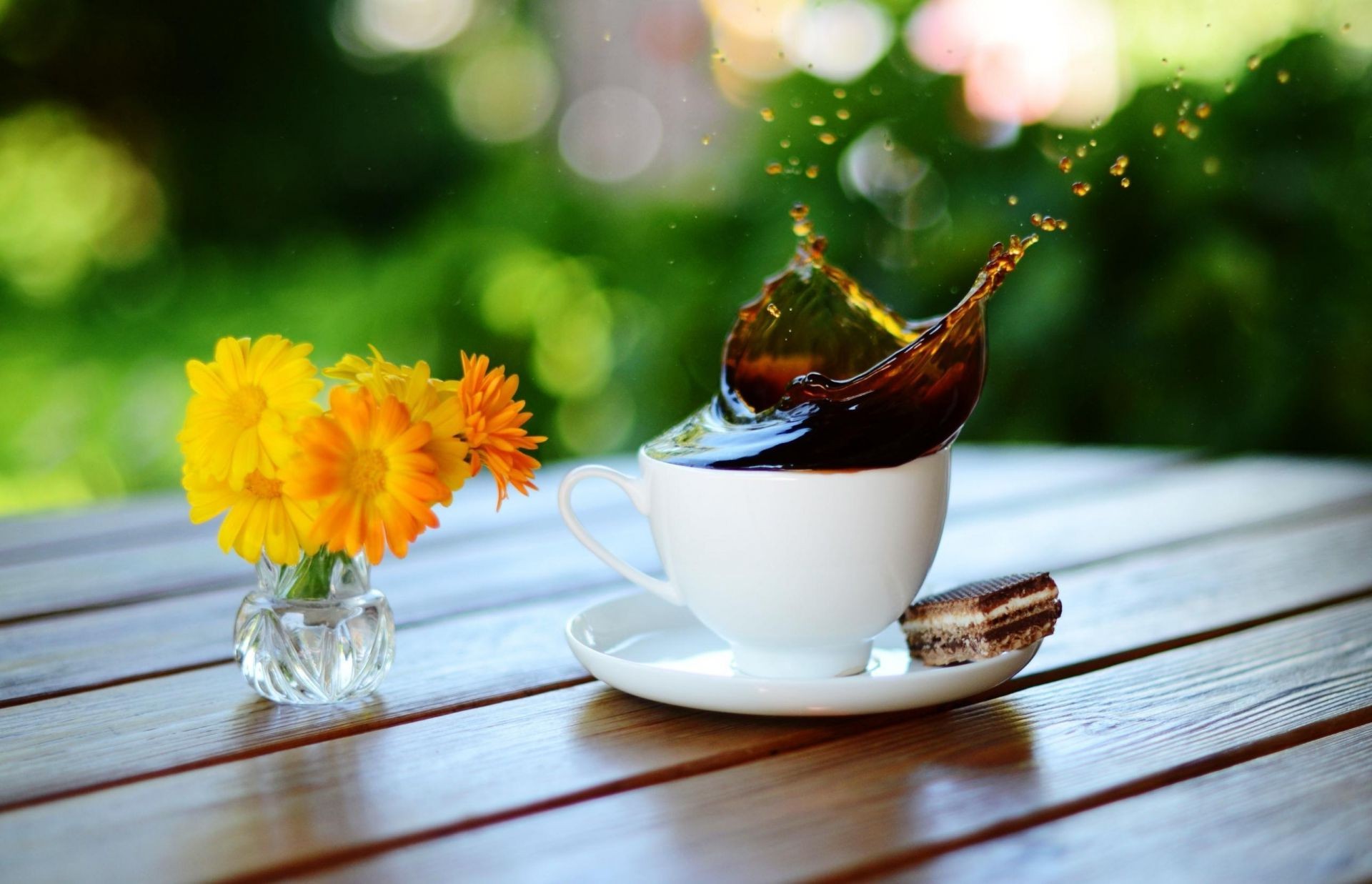 café folha tabela chá bebida comida copa natureza madeira