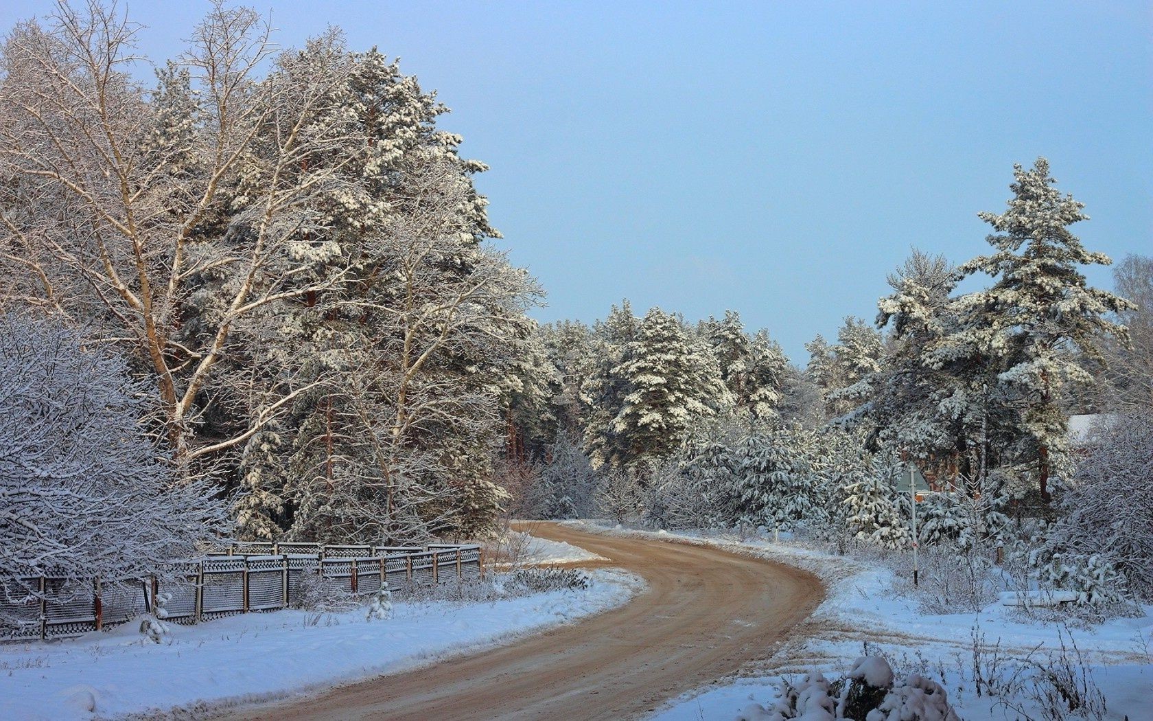 straße winter schnee frost kälte holz holz eis gefroren natur landschaft saison wetter zweig landschaft schnee-weiß szene landschaftlich frostig gutes wetter