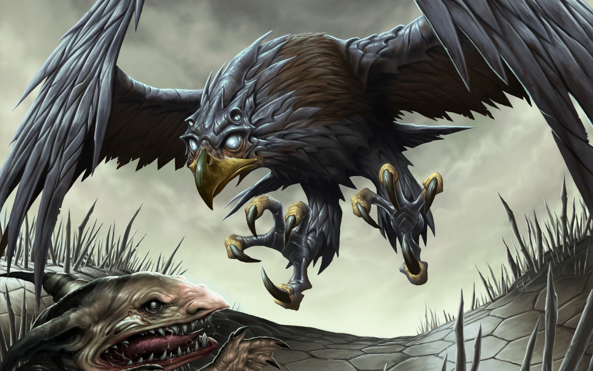 fantasy ptak przyroda orzeł raptor pióro zwierzę natura portret