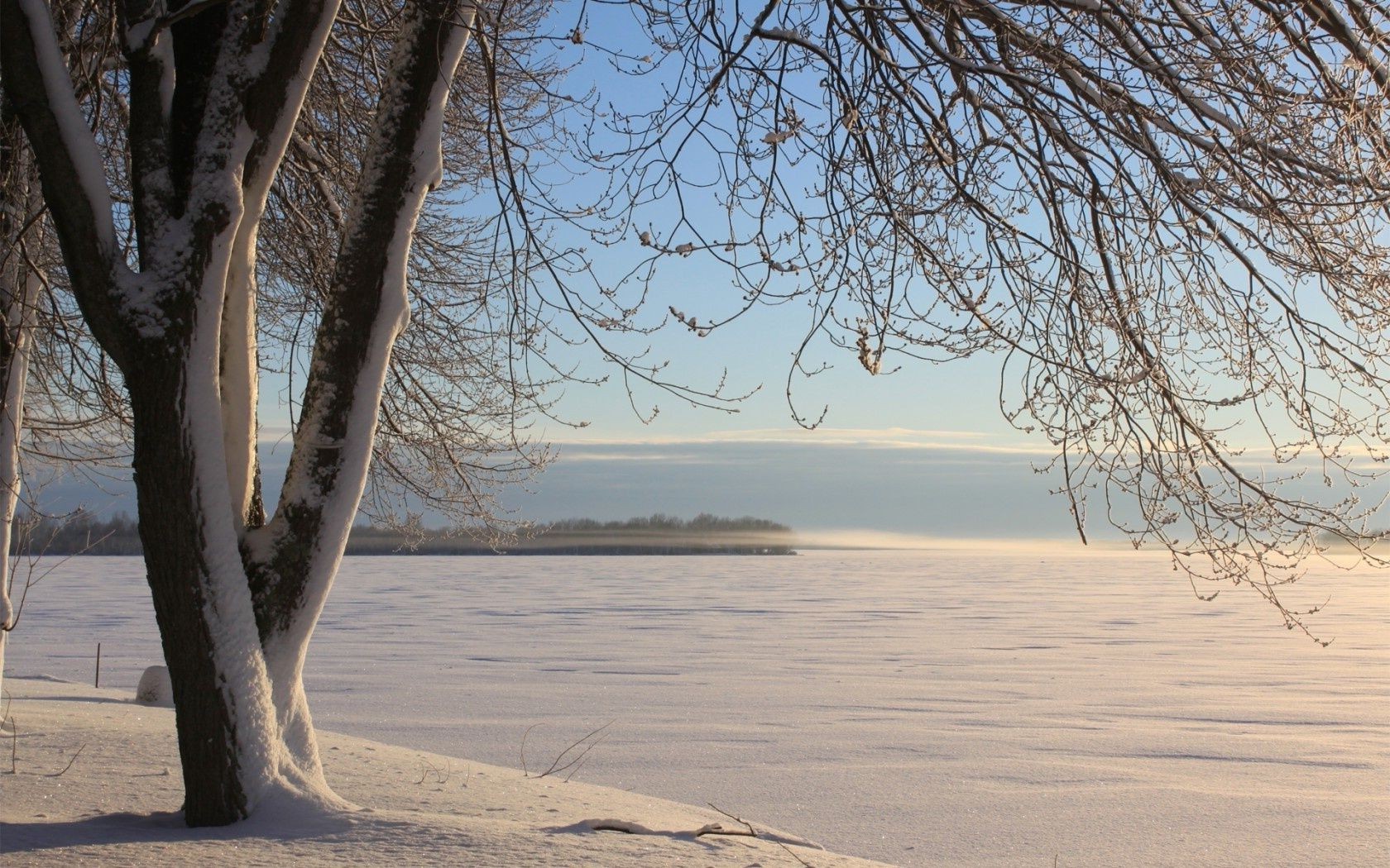 arbres paysage arbre hiver nature eau aube plage neige bois beau temps soleil à l extérieur scénique saison ciel météo