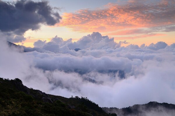 Niebla espesa sobre los trópicos rocosos