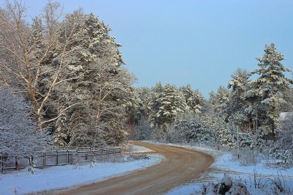 Frosty road in the forest