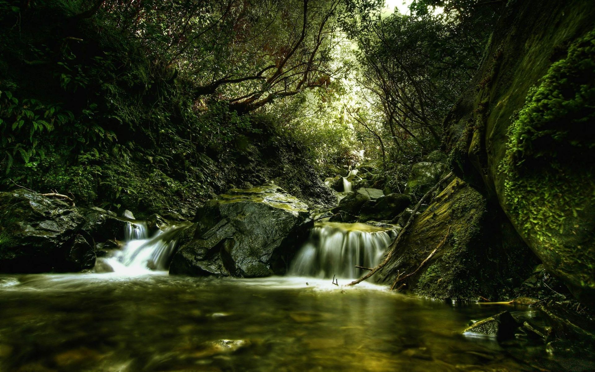 rios lagoas e córregos lagoas e córregos água cachoeira rio natureza madeira córrego musgo folha grito paisagem cascata outono árvore movimento rocha viagem fotografia ao ar livre molhado