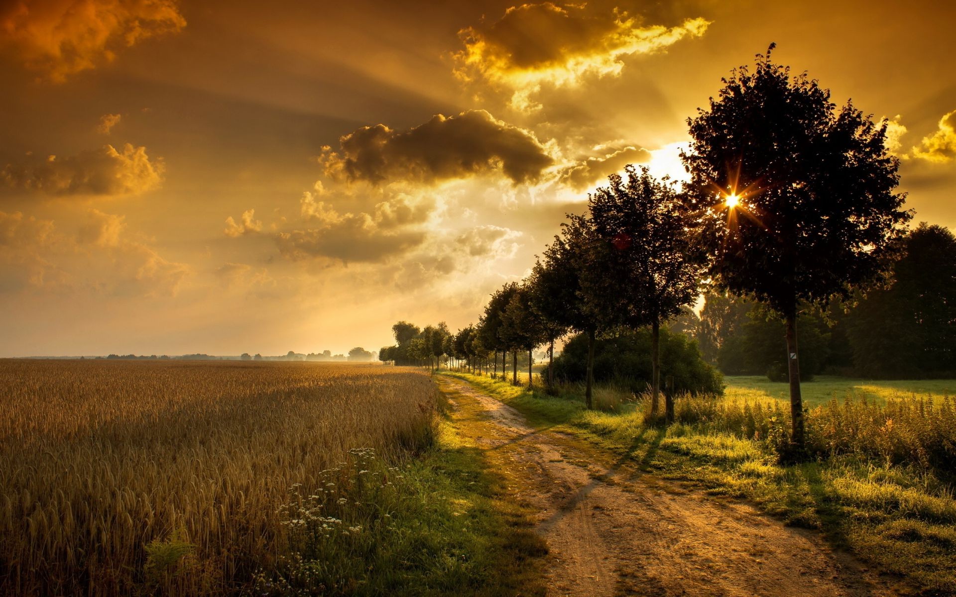 coucher du soleil et l aube coucher de soleil paysage aube soleil nature ciel arbre campagne soir rural à l extérieur automne beau temps herbe lumière crépuscule champ