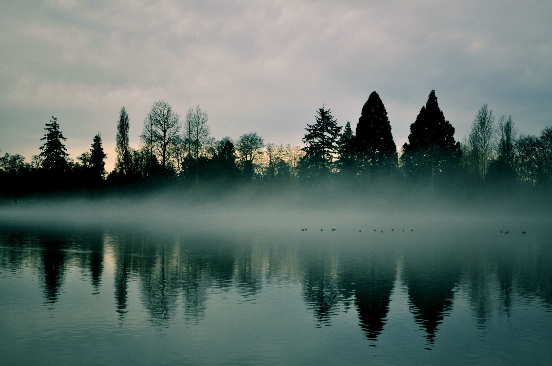 flüsse teiche und bäche teiche und bäche see wasser dämmerung natur reflexion landschaft sonnenuntergang himmel nebel im freien baum fluss nebel