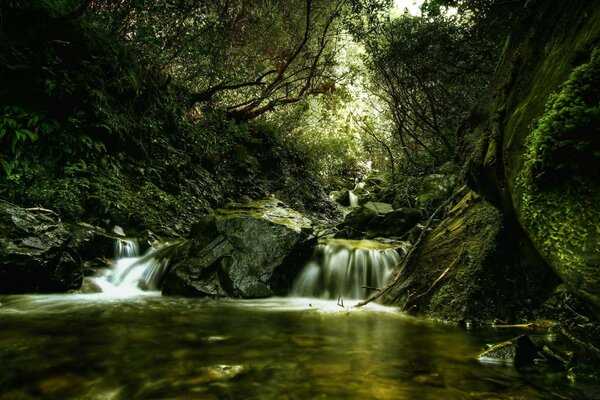 Waterfall flowing into the lake