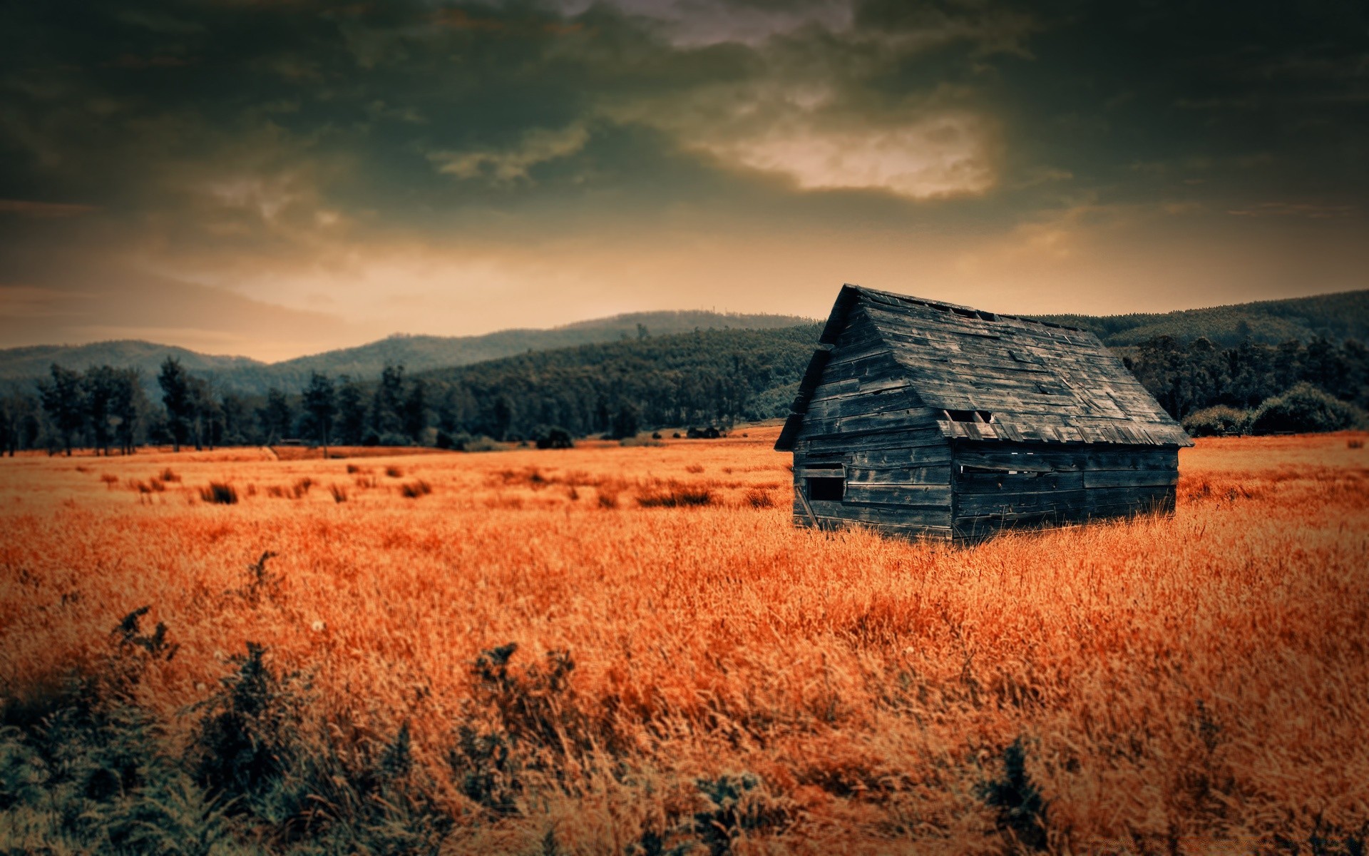 creativo paesaggio autunno tramonto all aperto cielo alba natura fienile rurale campagna legno paese