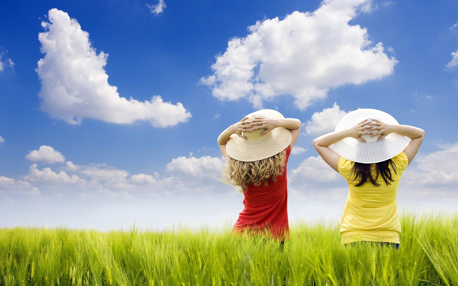 criativo grama campo verão natureza feno trigo pasto céu ao ar livre cereais liberdade campo rural