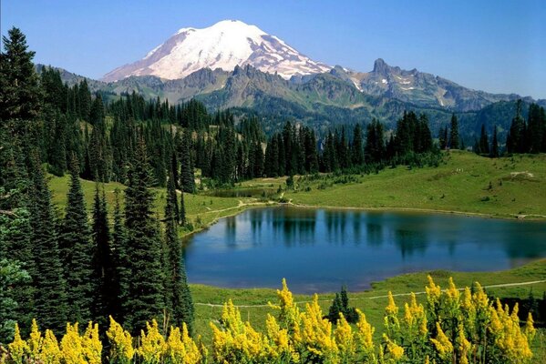 Paesaggio con montagna lago e colline