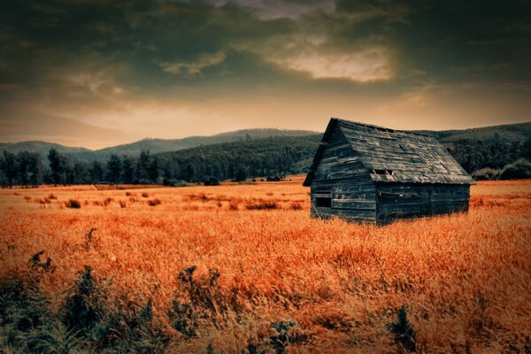 Hermoso paisaje de otoño