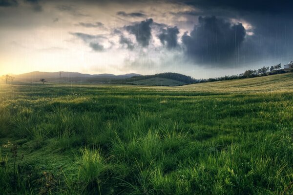 Hermoso cielo sobre un campo verde