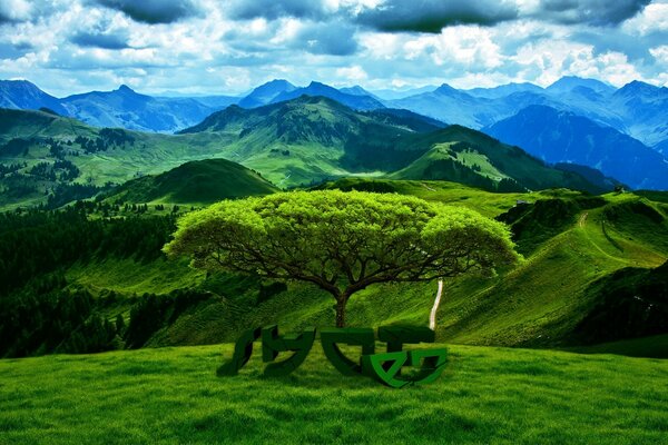 Vallée verte sur fond de montagnes et ciel nuageux