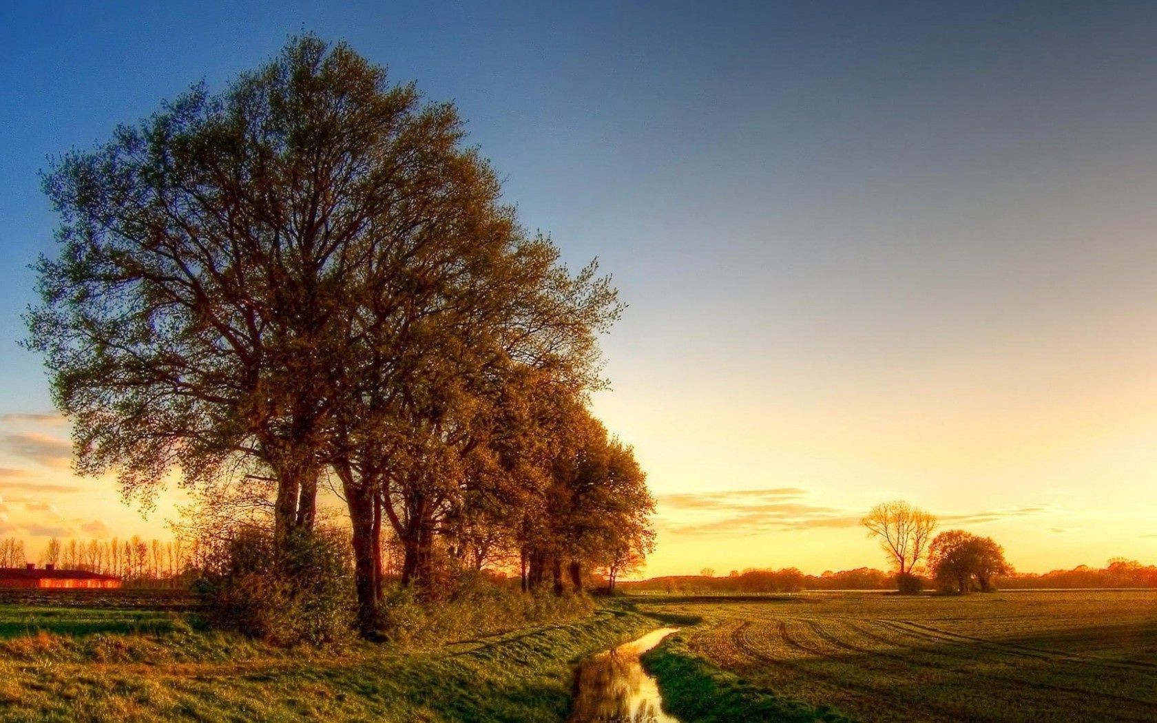 tramonto e alba paesaggio albero alba tramonto erba natura cielo sole all aperto autunno campagna rurale bel tempo campo sera