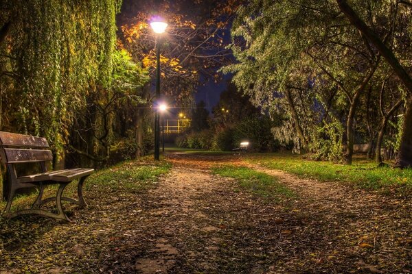 El banco del parque, junto a él la linterna y el árbol que colgaba el follaje tan bajo, es un paisaje misterioso