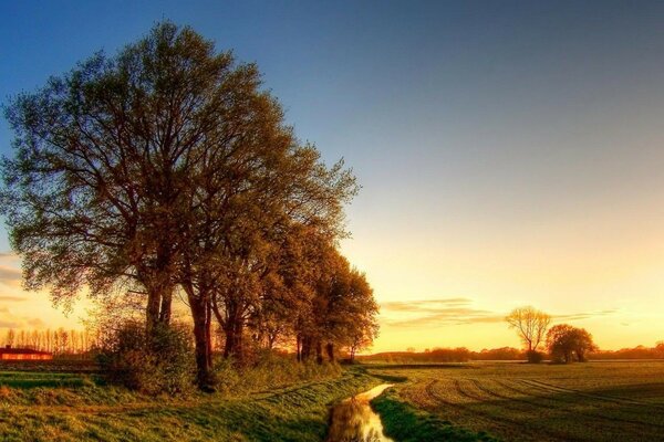 Sommermorgendämmerung in der Natur