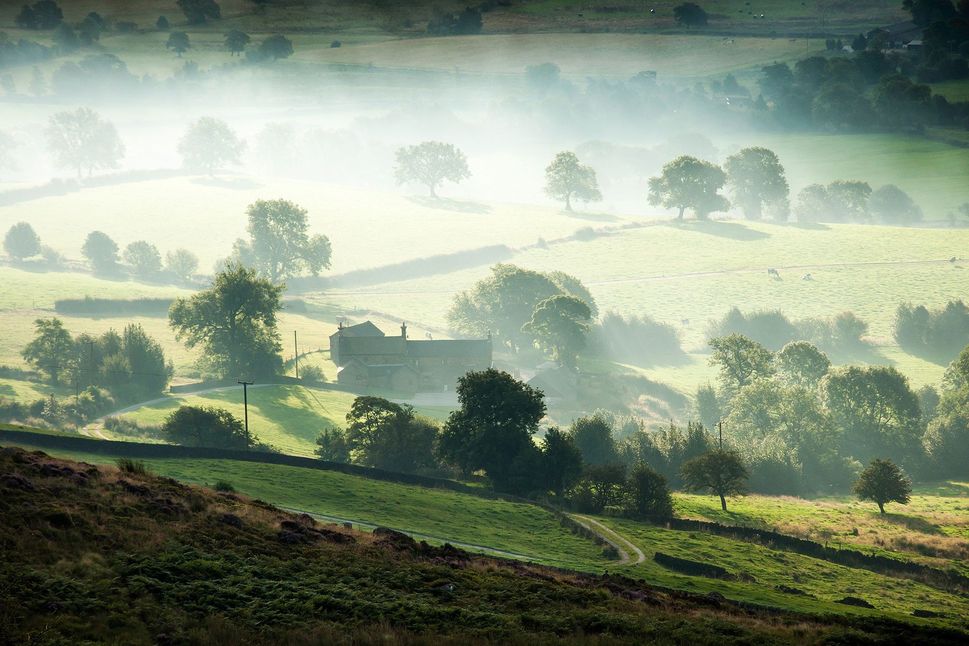 fields meadows and valleys landscape tree hill scenic cropland sky agriculture grass hayfield nature light field grassland farm travel outdoors soil mountain daylight