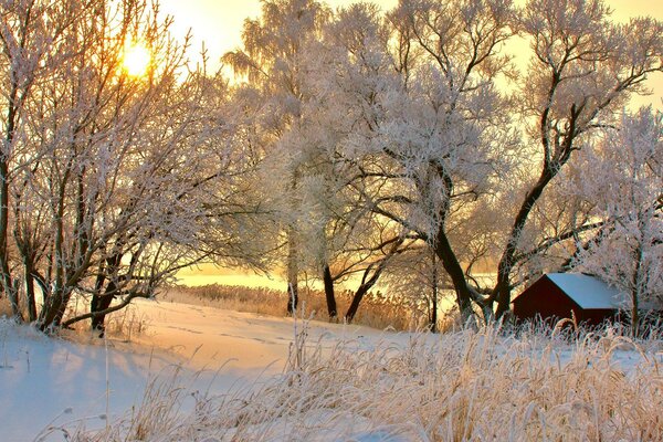 Winter day, morning dawn