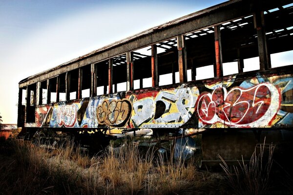 Tren en medio del campo