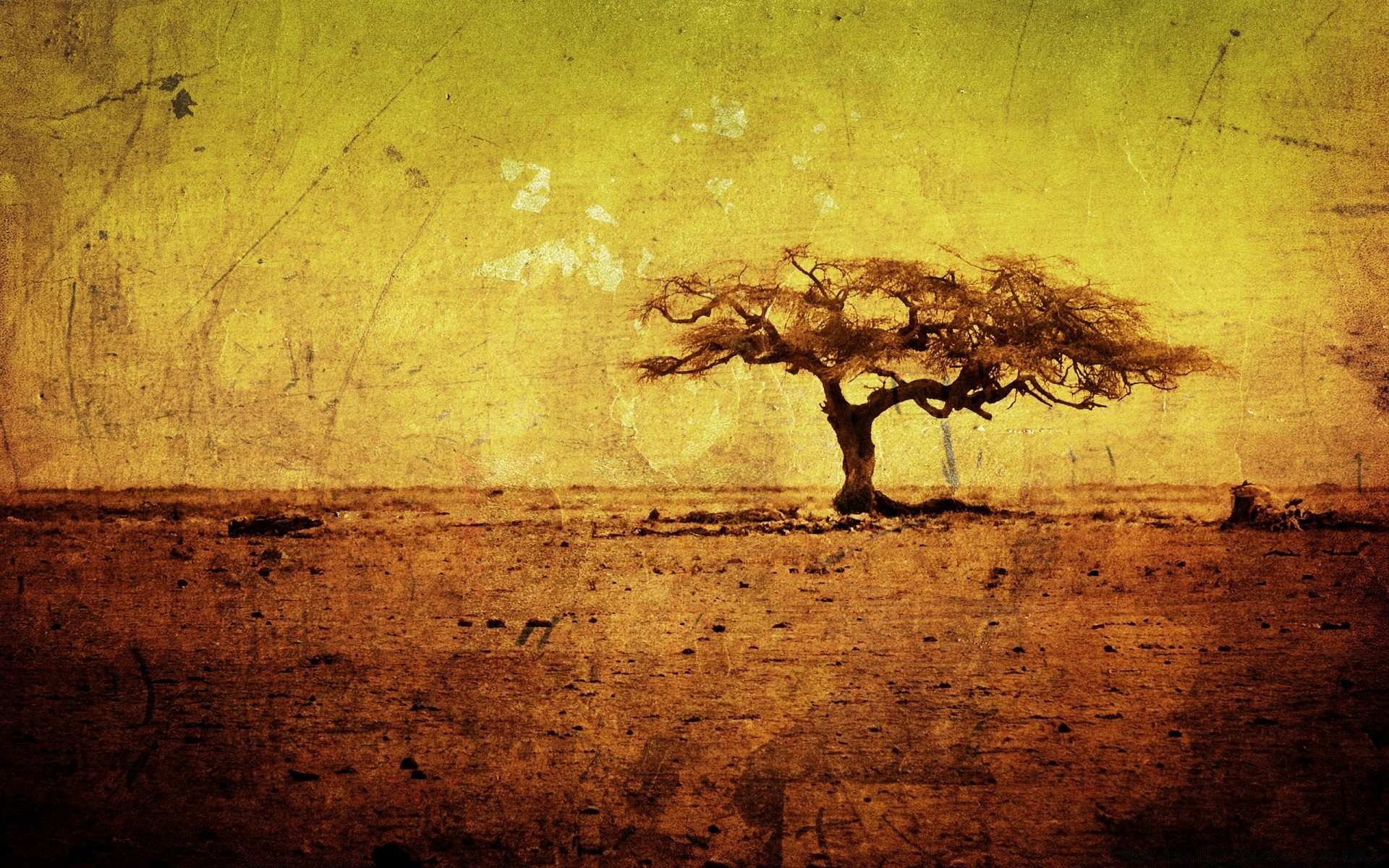 grunge vintage old art retro desktop wall texture tree silhouette decay landscape abstract