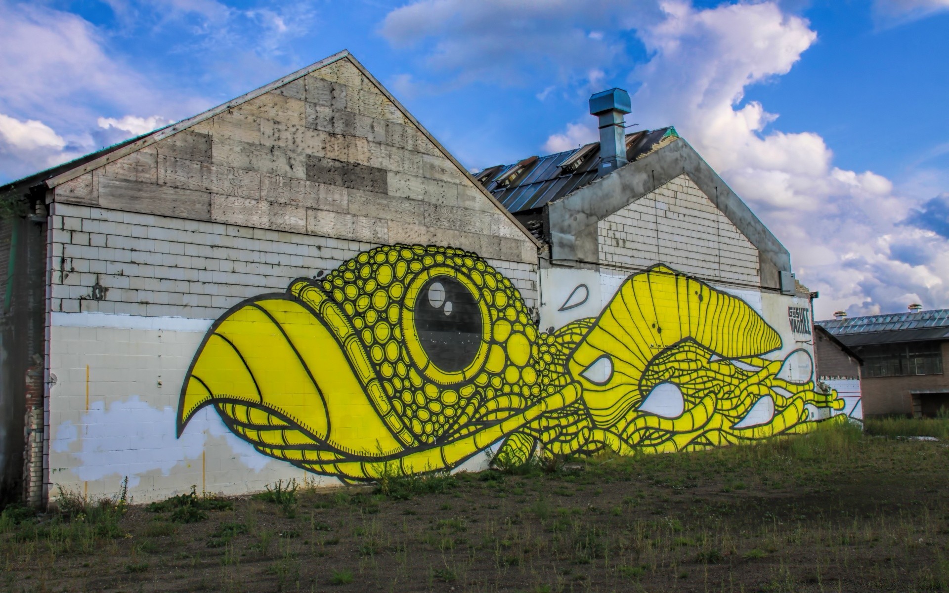 graffiti maison maison ferme architecture herbe ciel vieux extérieur grange couleur été agriculture rural extérieur toit champ construction