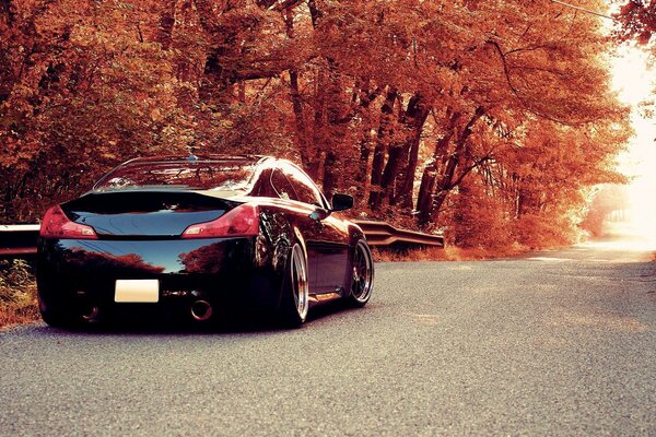 A car on a country road in autumn