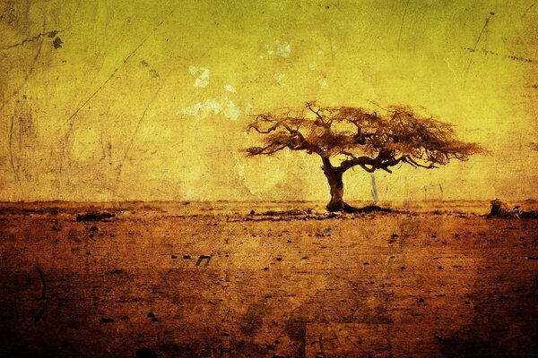 A lonely tree in an empty steppe