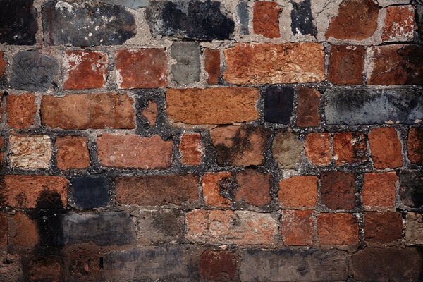 Pared de ladrillo de color negro y marrón