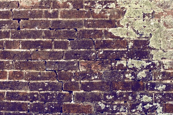 Dirty old garage walls