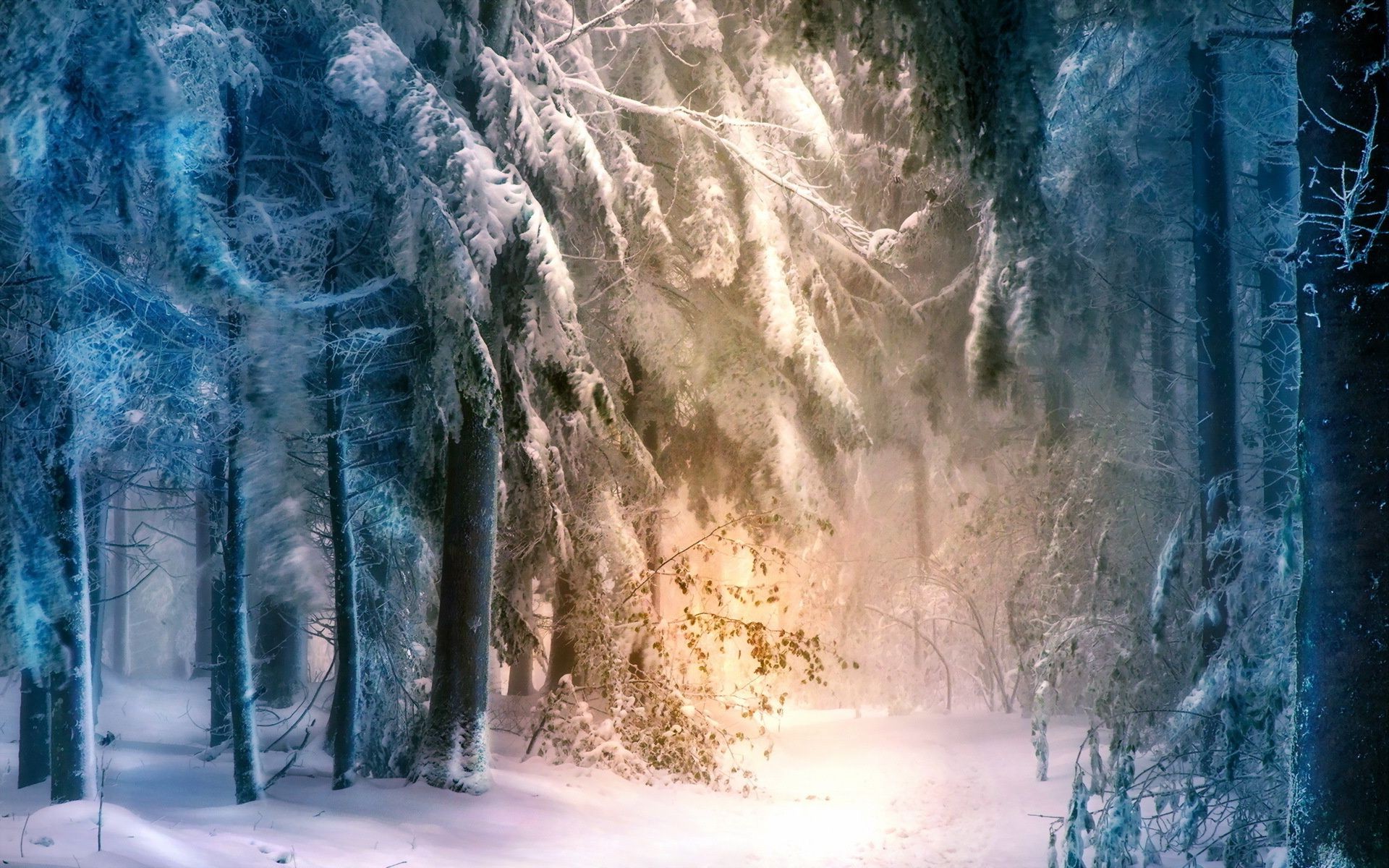 winter cold frost snow ice nature outdoors frozen travel landscape water fog