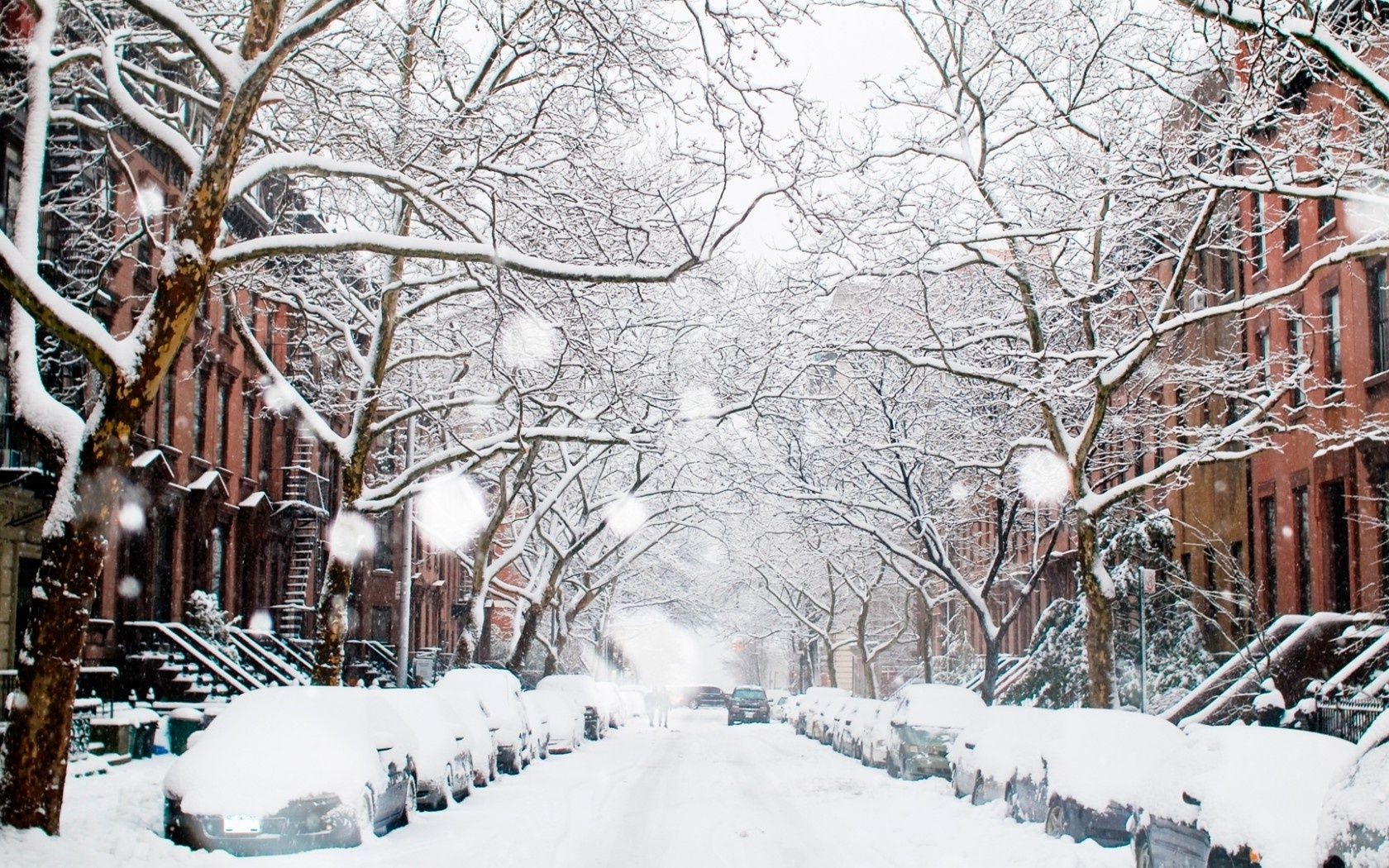 ville hiver neige froid gel congelé blizzard météo saison bois glace bois congère neigeux neige-blanc givré branche paysage scène