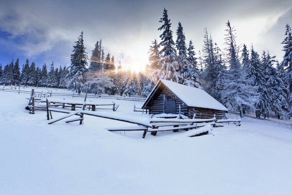 Casa solitaria en el bosque de invierno