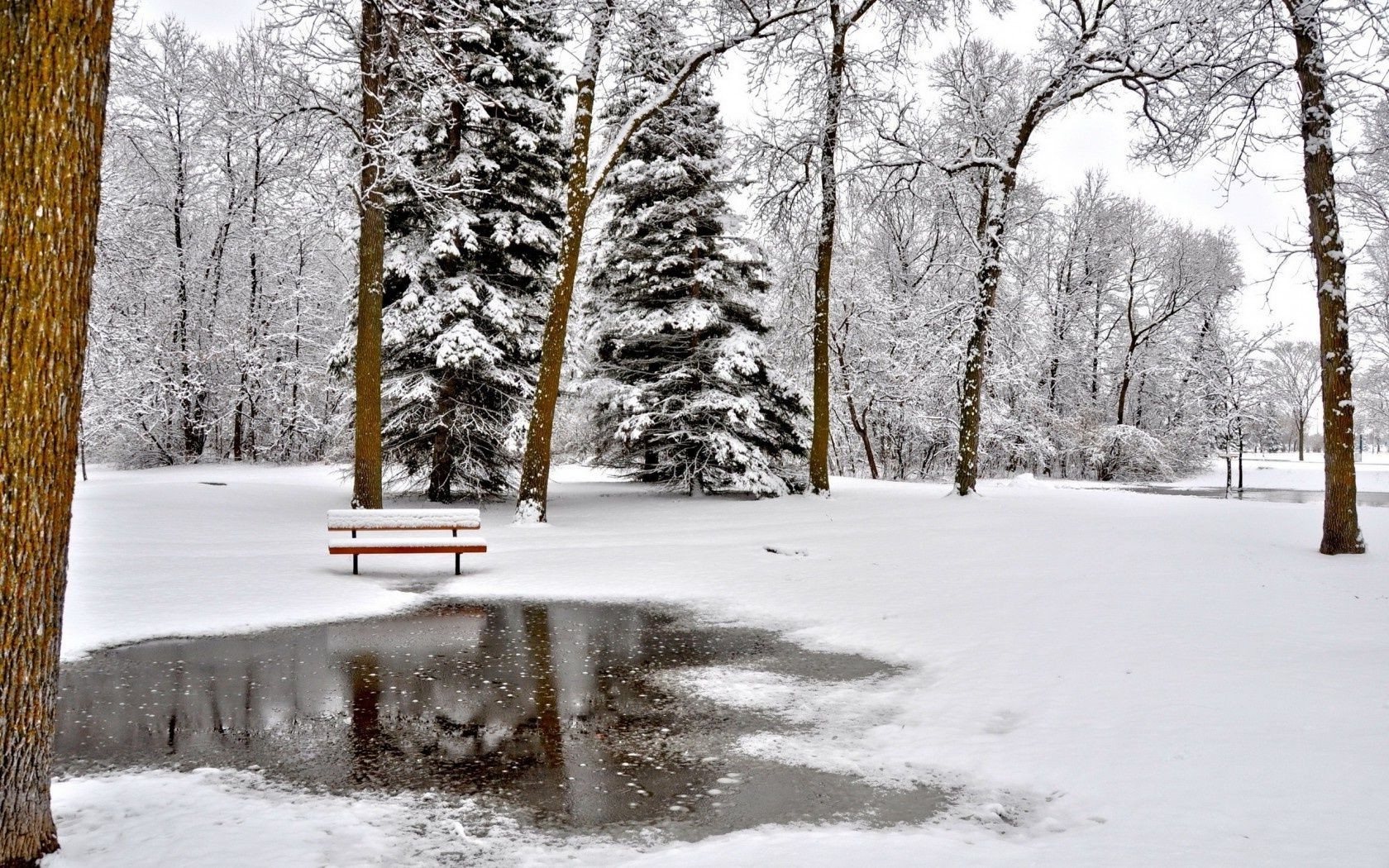 rivières étangs et ruisseaux étangs et ruisseaux neige hiver gel froid congelé glace météo bois bois saison paysage tempête de neige givré brouillard nature route neigeux branche beau temps