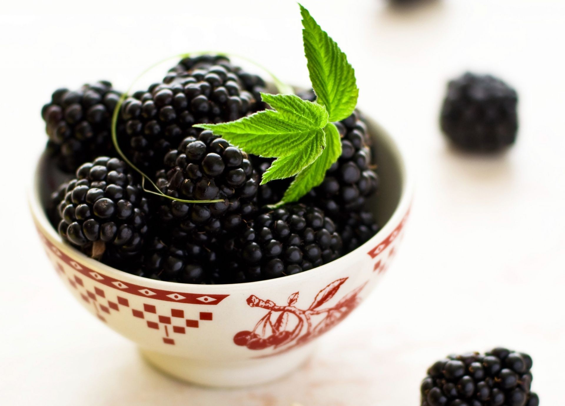 bayas moras baya fruta jugosa comida saludable salud arándanos nutrición hoja pasto dulce primer plano delicioso antioxidante dieta tazón de fuente vitamina bramble