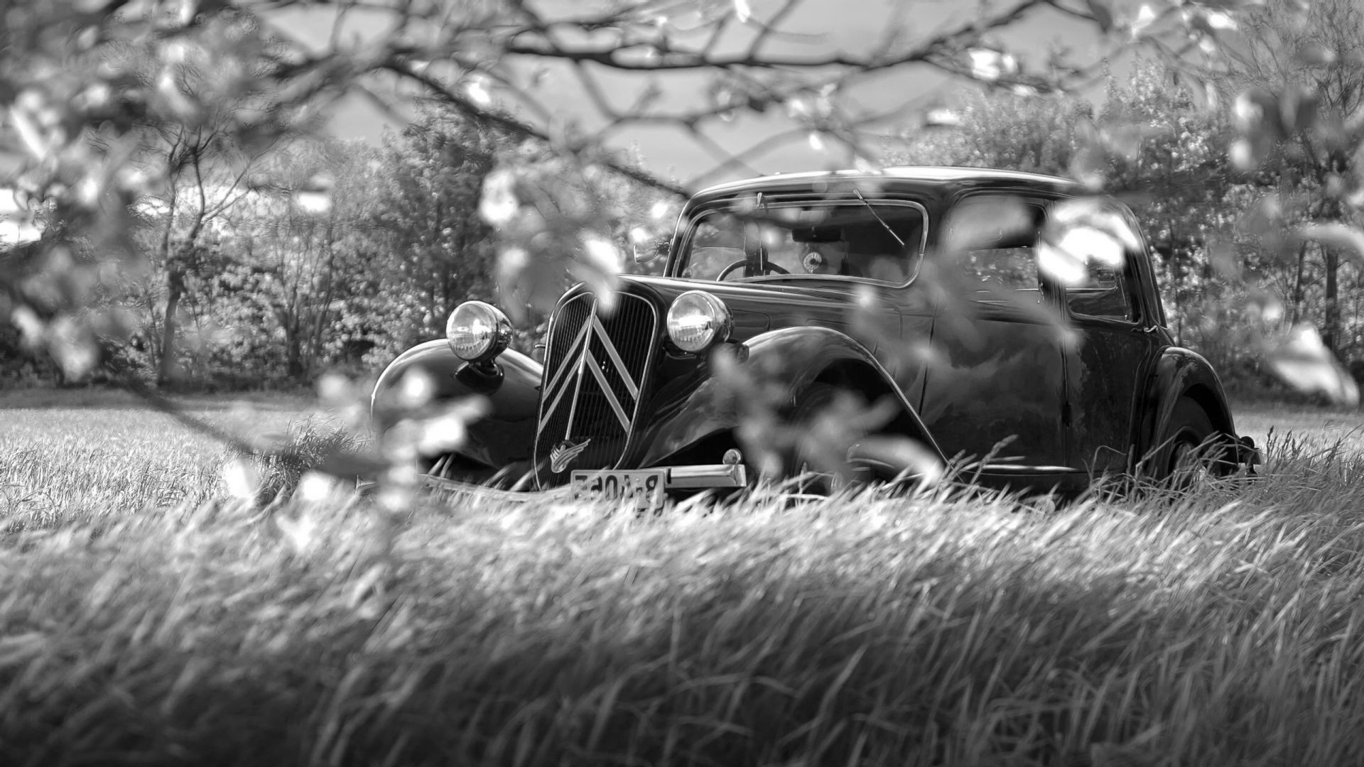 voitures rétro voiture monochrome voiture vintage système de transport