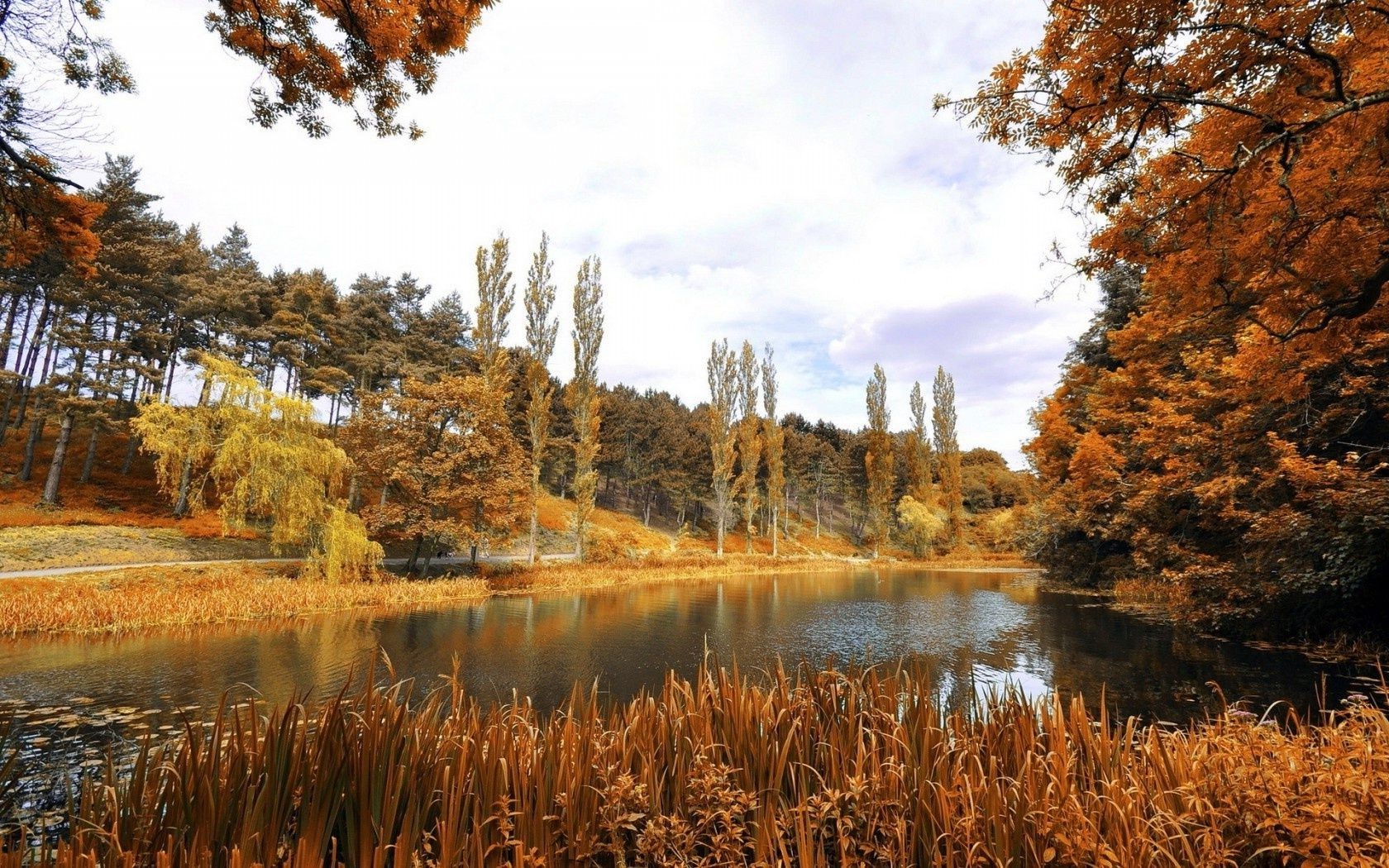 fiumi stagni e torrenti stagni e torrenti autunno natura paesaggio legno all aperto albero acqua foglia stagione cielo scenico lago riflessione oro parco