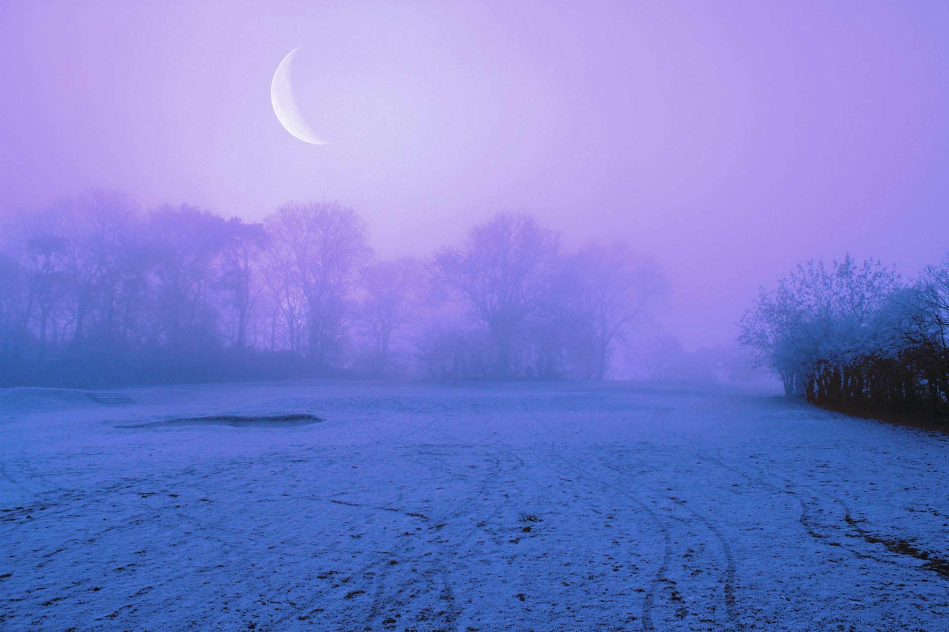 paesaggio paesaggio inverno natura nebbia albero alba tempo neve luce freddo sera cielo tramonto nebbia crepuscolo acqua scenico stagione lago