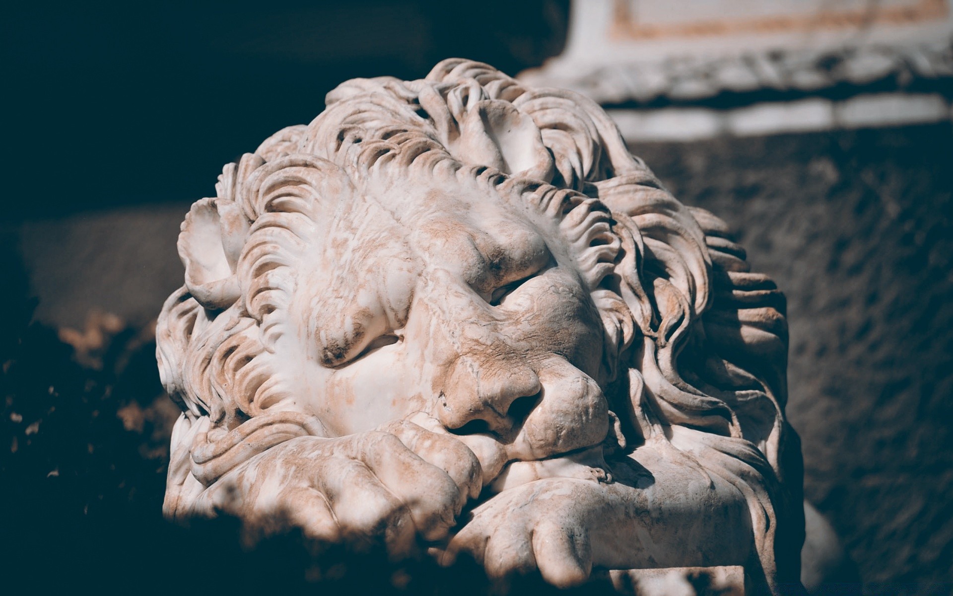 esculturas estatua arte león mamífero uno mármol viajes