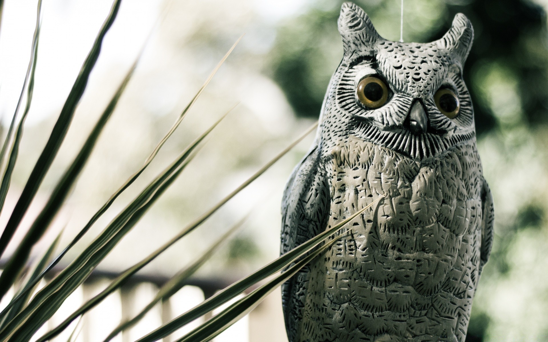 sculpture nature bird outdoors wild owl feather close-up wildlife animal garden