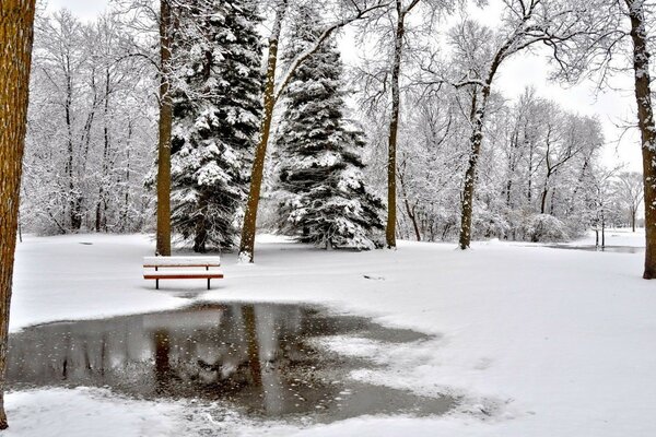 Winter pond under white snow