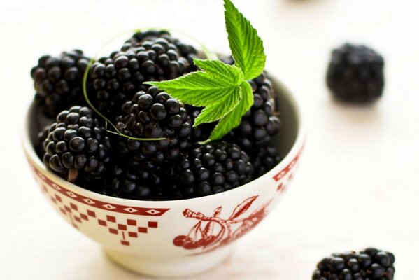 Juicy blackberries in a beautiful plate