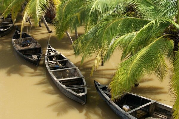 Viagens exóticas de barco no lago