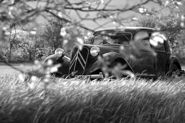 Vintage retro car black and white